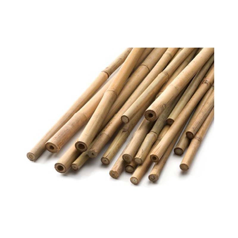 Bamboo Canna 250cm 10 Pcs