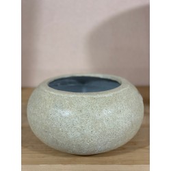 Bonsai Series