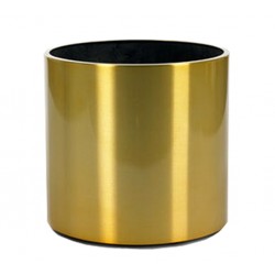 Stainless Gold 30cm