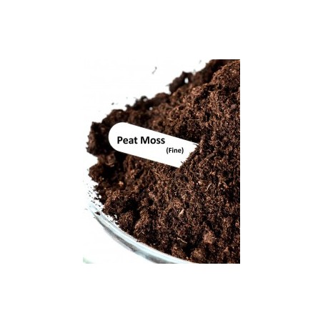 download peat moss for free
