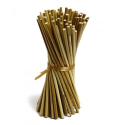 Bamboo canna 120cm 50 Pcs