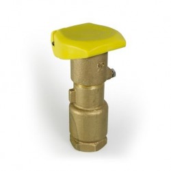 Quick coupling valve brass 1"