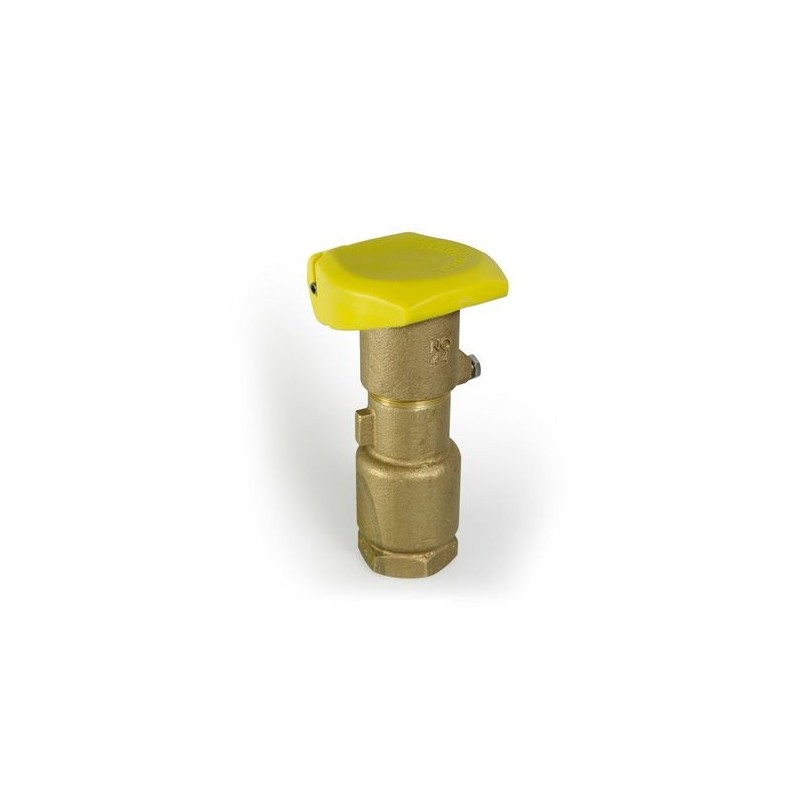 Quick coupling valve brass 1"